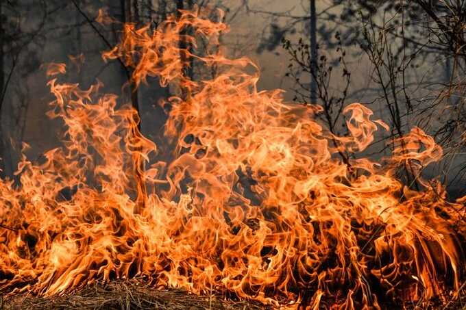 В Приморье водители вынуждены ехать сквозь огонь из-за лесных пожаров